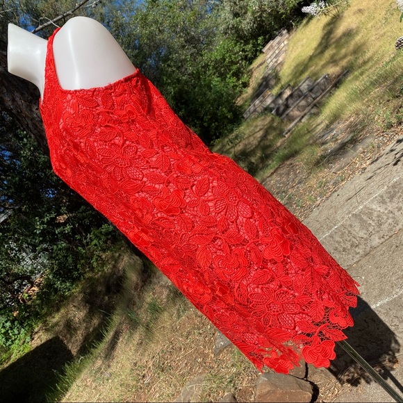 Lovers + Friends Red Lace Dress - Picture 4 of 10